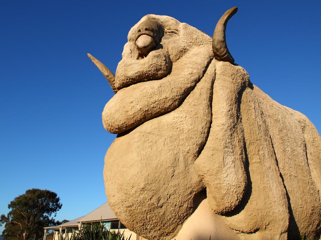 The infected Covid patient visited Goulburn, including the Shell Coles Express Big Merino.