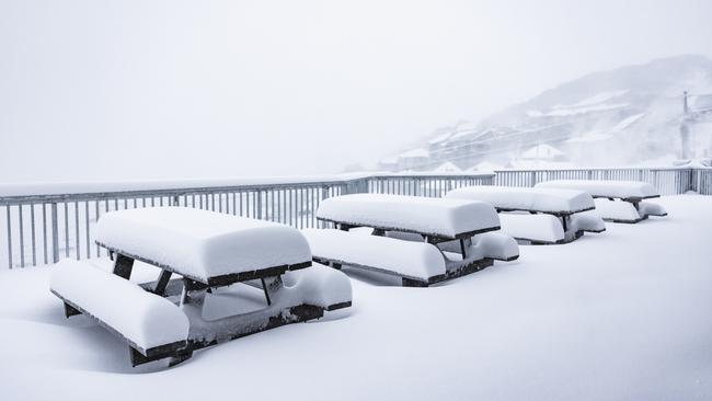 Perisher received a dumping of 25cm this week. Picture: NCA NewsWire / Dylan Robinson