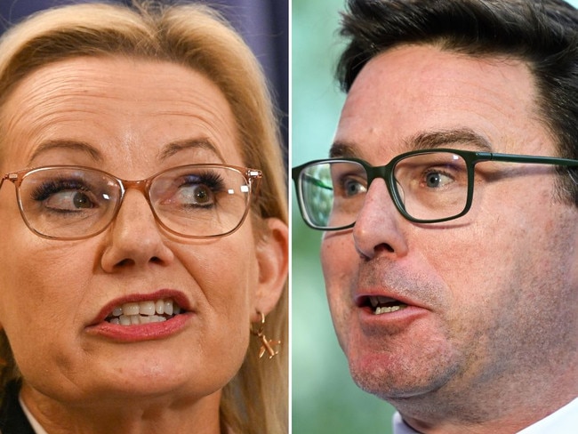 Opposition Leader Sussan Ley and Nationals leader David Littleproud.