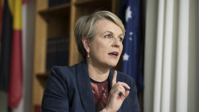 Environment Minister Tanya Plibersek. Picture: NCA NewsWire / Gary Ramage