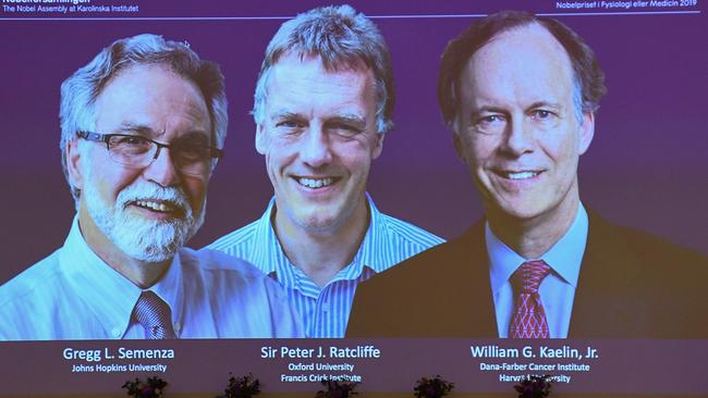 The winners of the 2019 Nobel Prize in Physiology or Medicine: Gregg Semenza of the US, left, Peter Ratcliffe of Britain and William Kaelin of the US. Picture: AFP