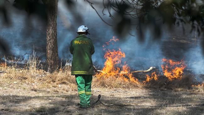 Eleven homes were destroyed in the Sarabah bushfire last September. Picture: Nigel Hallett