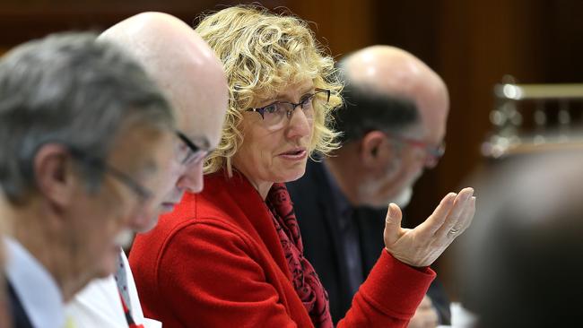 MLC Ruth Forrest during this week’s budget estimates. Picture: SAM ROSEWARNE