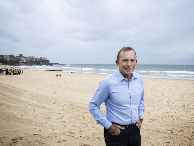 1/2/19: Tony Abbott member for the seat of Warringah at Manly Beach. John Feder/The Australian.