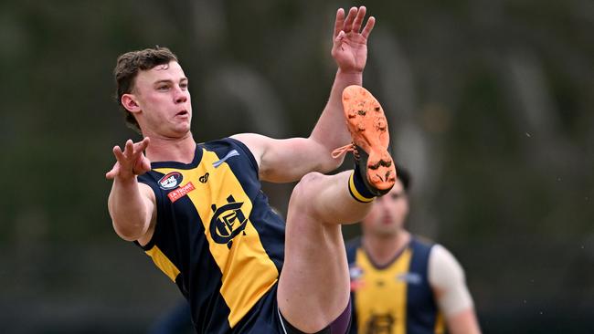 Joel Naylor kicks a goal for Hurstbridge. Picture: Andy Brownbill