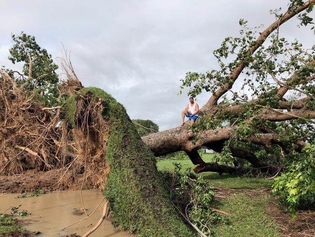 The sheer size of the trees that were blown over in Cyclone Marcus had Darwinites stunned. PIC: Anthony Cendo