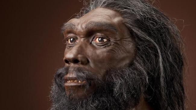 A reconstruction of a male Homo heidelbergensis, by John Gurche for the Human Origins Program.