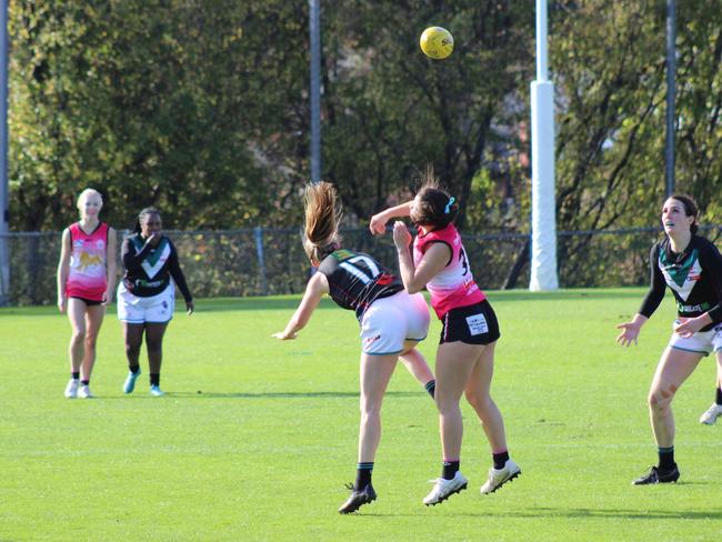 SFLW Community League: Hutchins v Cygnet. Picture: Jake Garland