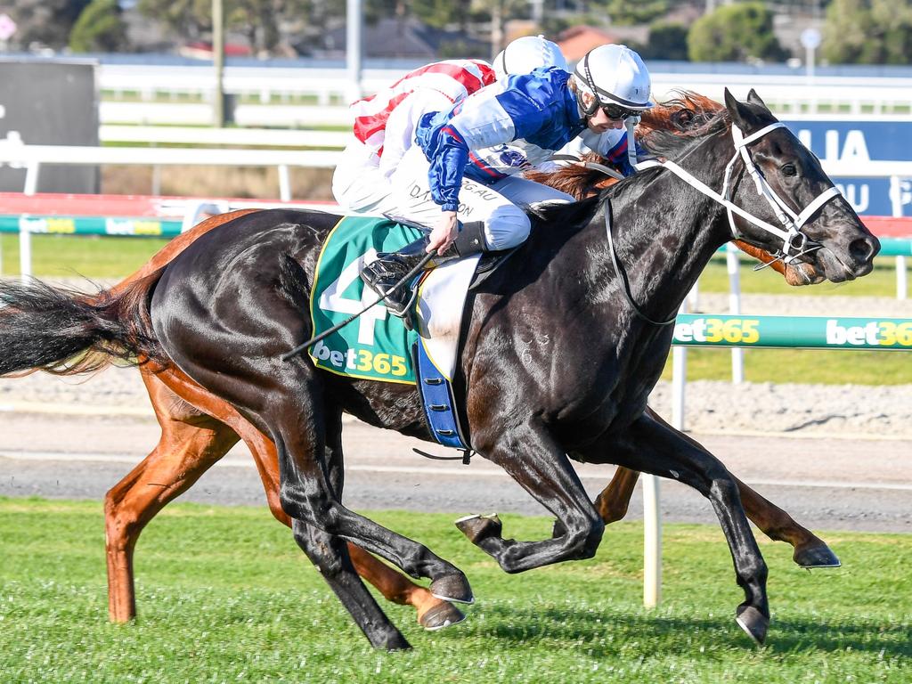 Wairere Falls (NZ) ridden by Damien Thornton wins the Charles Rose Jewellers Maiden Plate at Geelong Racecourse on June 26, 2020 in Geelong, Australia. (Reg Ryan/Racing Photos via Getty Images)
