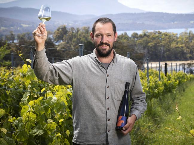 Tassie vineyards prove they are top of the crops