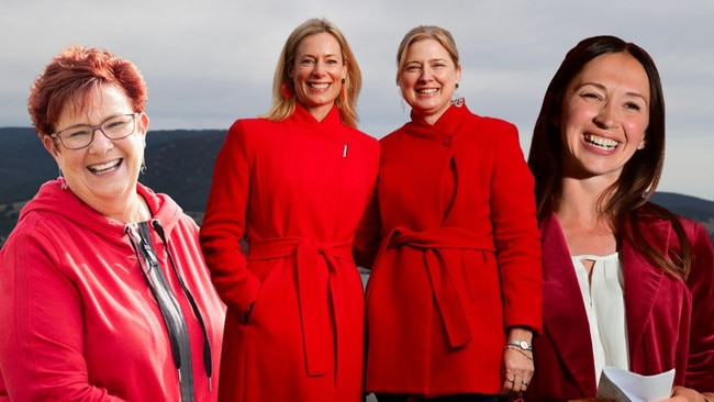 Labor 'owes' Tassie two ministerial spots: academic