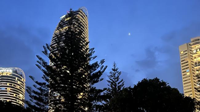 A Pratton Park tree in Broadbeach where a teenage male was stuck at the top.