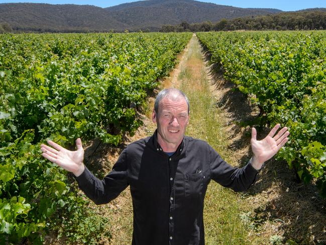 Chief Winemaker Andrew Koerner of Blue Pyrenees fears it will struggle to find the workforce it needs by Feb, to start the all important grape harvest. Picture: Jay Town