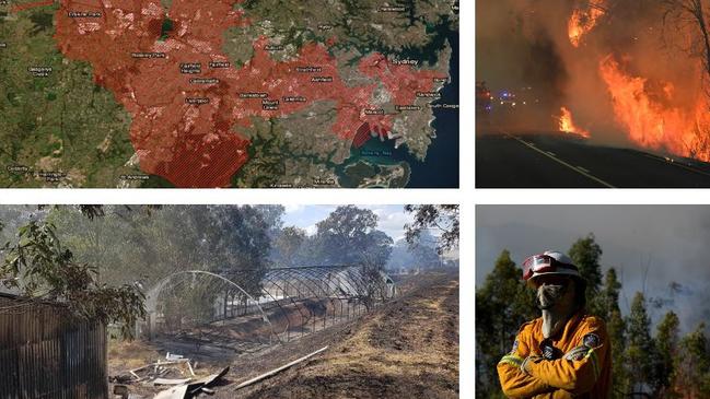 Bellingen Shire was on the front of the Bees Nest Fire in 2019 which burned an area larger than Sydney.