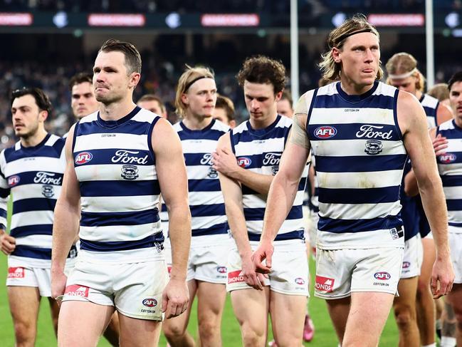 Cats’ achilles heel laid bare by annihilation, experiment