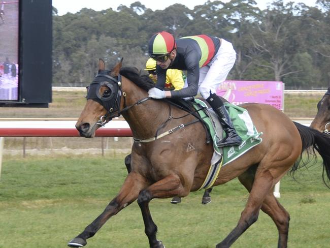 Soho Sushi can end her preparation on a winning note at Goulburn. Picture: Bradley Photos