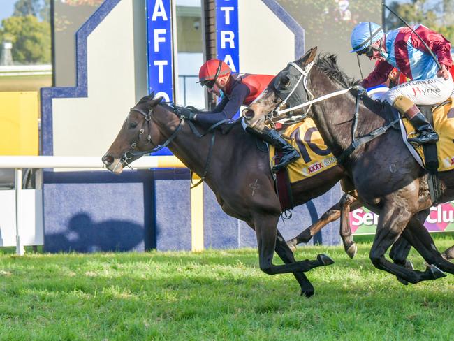 Jockey Ben Thompson drives 10 Purrfect Deal forward to win the 2021 Grafton Cup at the Clarence River Jockey Club July Carnival.