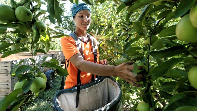 Why do we pay unemployment benefits to people in country towns when there are unskilled jobs available that farmers can’t fill?