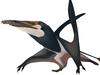 Artist's impression of the pterosaur on Skye, by Natalia Jagielska.