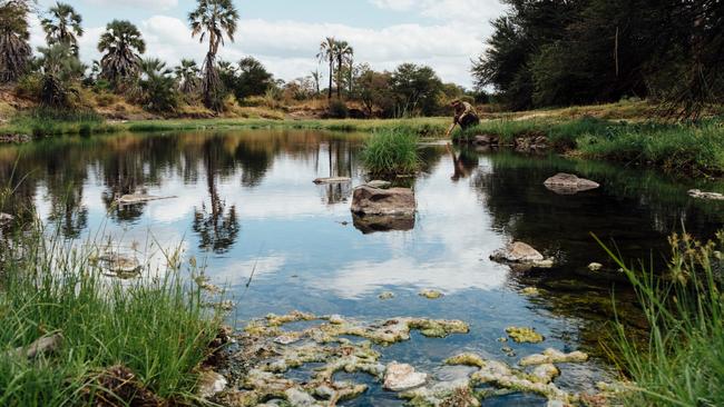 The wetlands have been difficult to access in the past. Picture: Greg Funnell