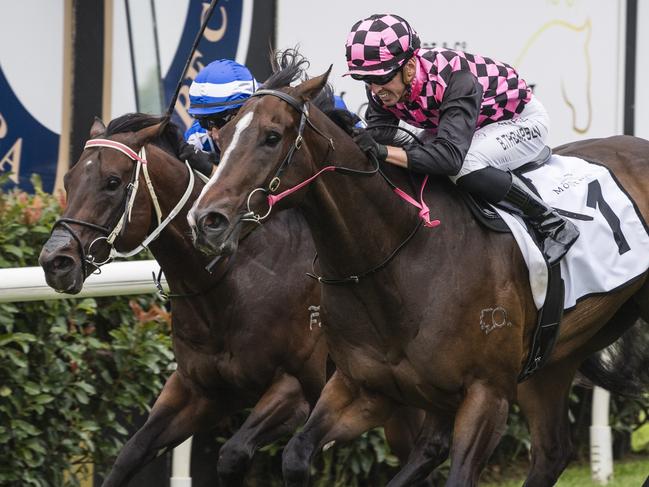 Rothfire and jockey Ben Thompson (centre) win the King of the Mountain for trainer Robert Heathcote at Clifford Park Racecourse, Monday, January 1, 2024. Picture: Kevin Farmer