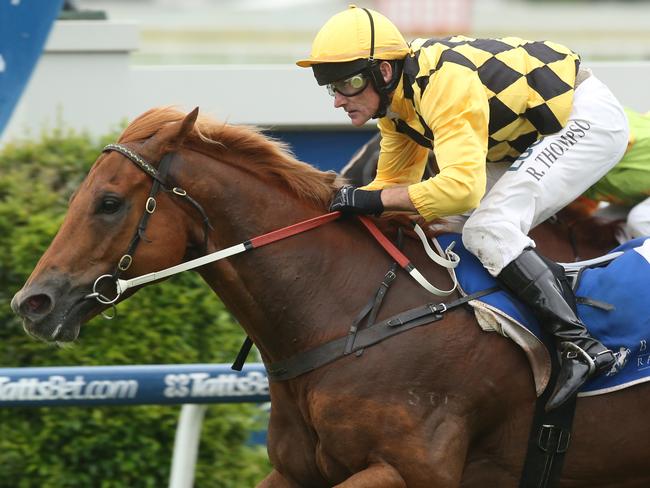 Races at Doomben, Race 7, Winner number 5 Big Money Jockey Robert Thompson. Trainer Rodney Northam. Pic Jono Searle.