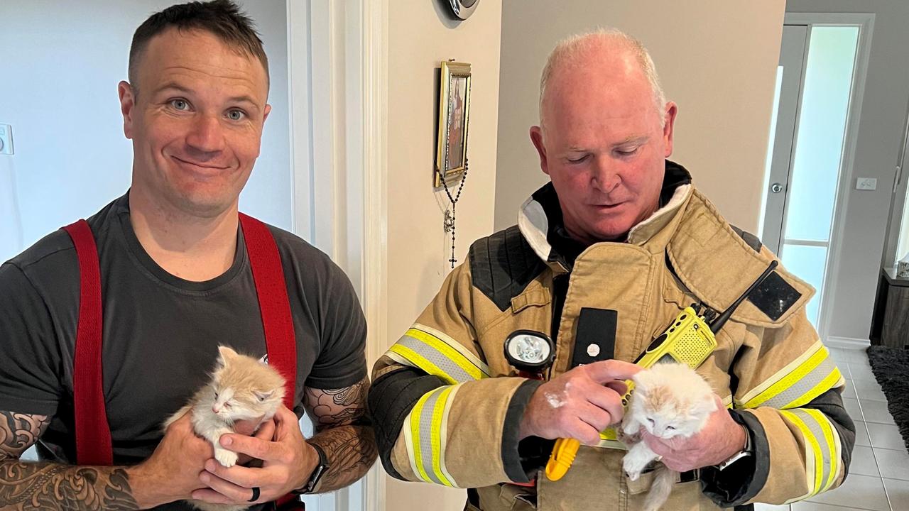 Top 11 Amazing Animal Rescues And Crazy Calls For Firefighters In 2023 