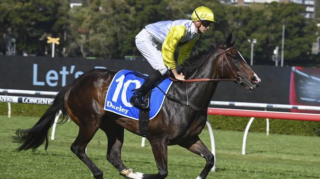 French Endeavour kicks off her autumn campaign at Rosehill on Saturday. Picture: Bradley Photos