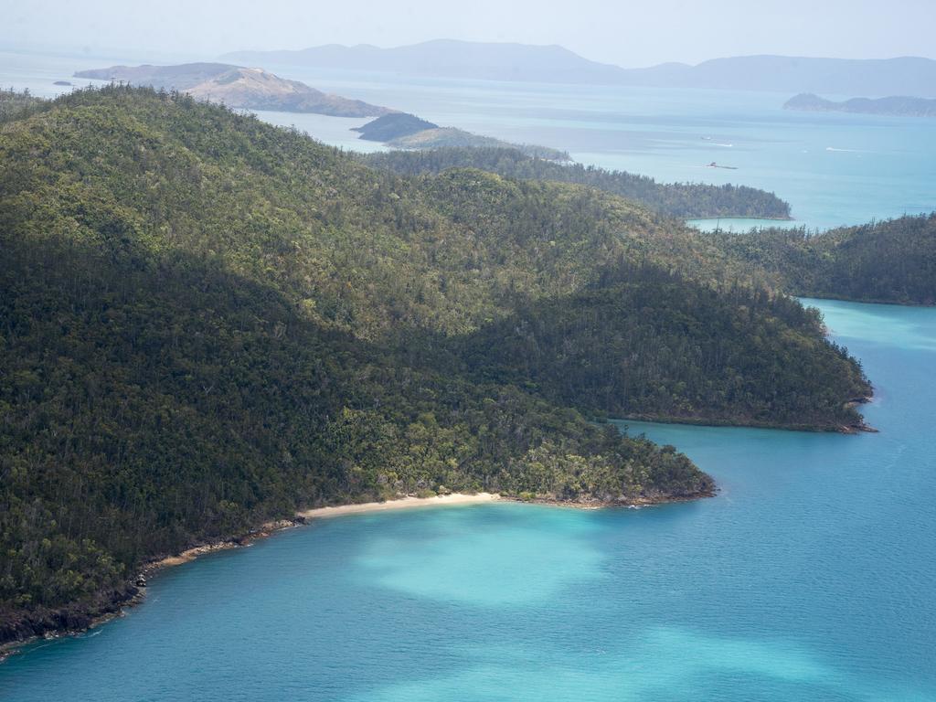 Authorities will hold crisis talks to discuss sharks in the Whitsundays. Picture: Daryl Wright