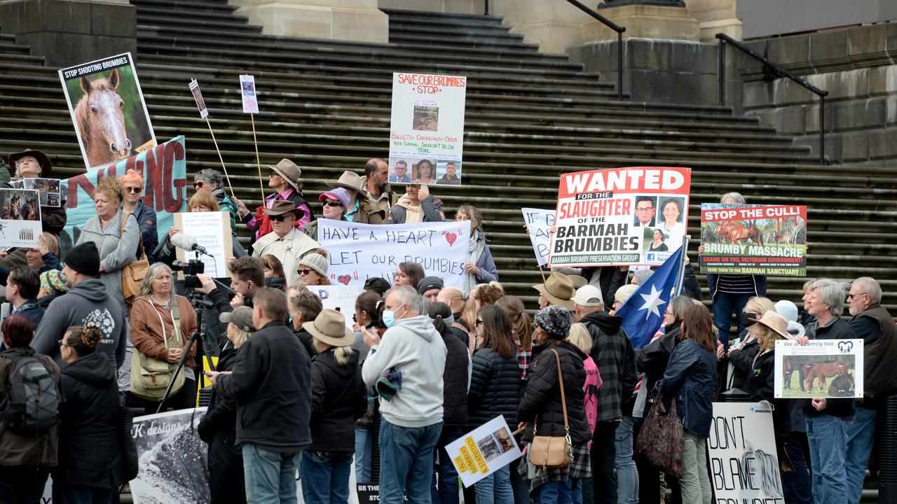 A group gathers outside Parliament House in Melbourne to protest against the upcoming cull of brumbies in Victoria's High Country. Picture: NCA NewsWire / Andrew Henshaw