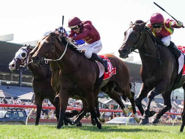 Jacquinot ridden by Damian Lane wins the Ladbrokes C.F. Orr Stakes  at Ladbrokes Park Hillside Racecourse on February 11, 2023 in Springvale, Australia. (Photo by Scott Barbour/Racing Photos via Getty Images)