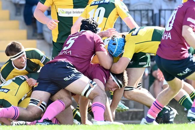 University v Wests, Colts Saturday June 8, 2024. Picture, John Gass