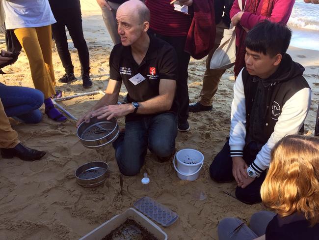 Dr Scott Wilson, research director for the Australian Microplastic Assessment Project (AUSMAP) showing volunteers how to search for microplastics in Manly Cove. Picture: AUSMAP