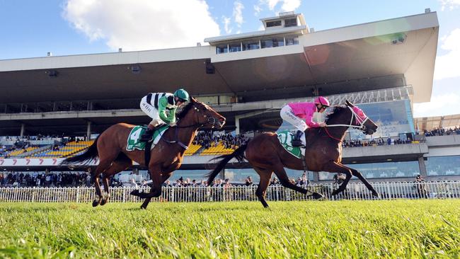 Race 5 2GB HANDICAP (3YO&UP F&M BM85) - 1350m. Winner 'Berrimilla' ridden by Glyn Schofield.