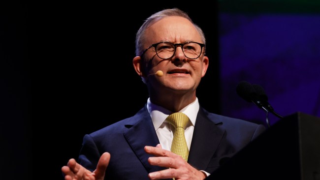 Prime Minister Anthony Albanese has weighed in on the pork roll controversy while attending the West Australian Leadership Matters event.  Picture: Lisa Maree Williams/Getty Images.