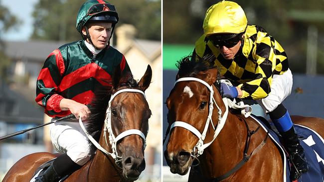 Star fillies Lady Shenandoah (left) and Autumn Glow are on a collision course this spring. Pictures: File