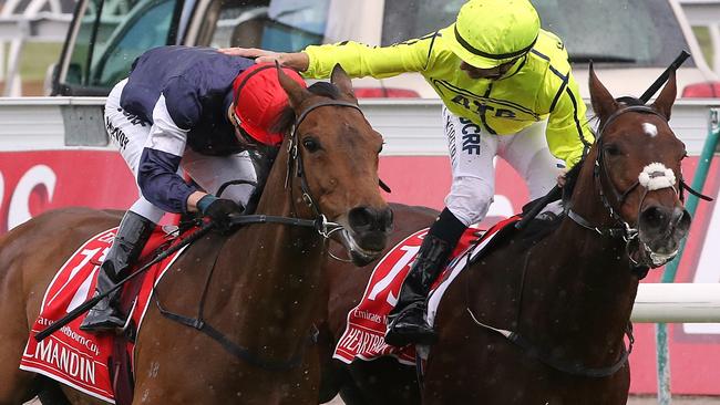 Joao Moreira congratulates Kerrin McEvoy after Almandin won an epic battle down the Flemington straight. Picture: Wayne Ludbey