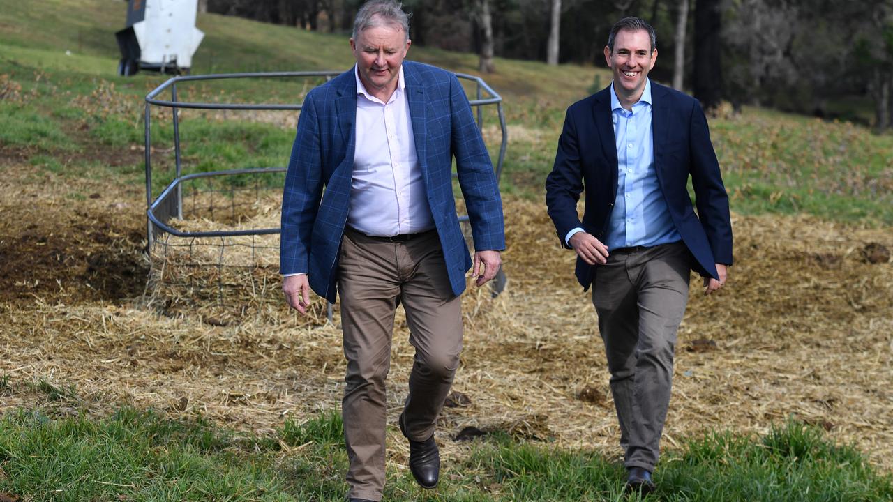 Morrison and Albanese suit up in similar outfits in Eden-Monaro