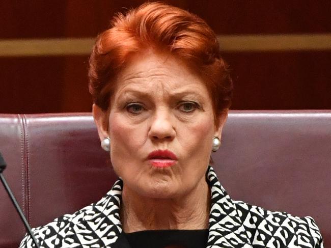 One Nation leader Senator Pauline Hanson in the Senate chamber at Parliament House in Canberra, Wednesday, June 17, 2020. (AAP Image/Mick Tsikas) NO ARCHIVING