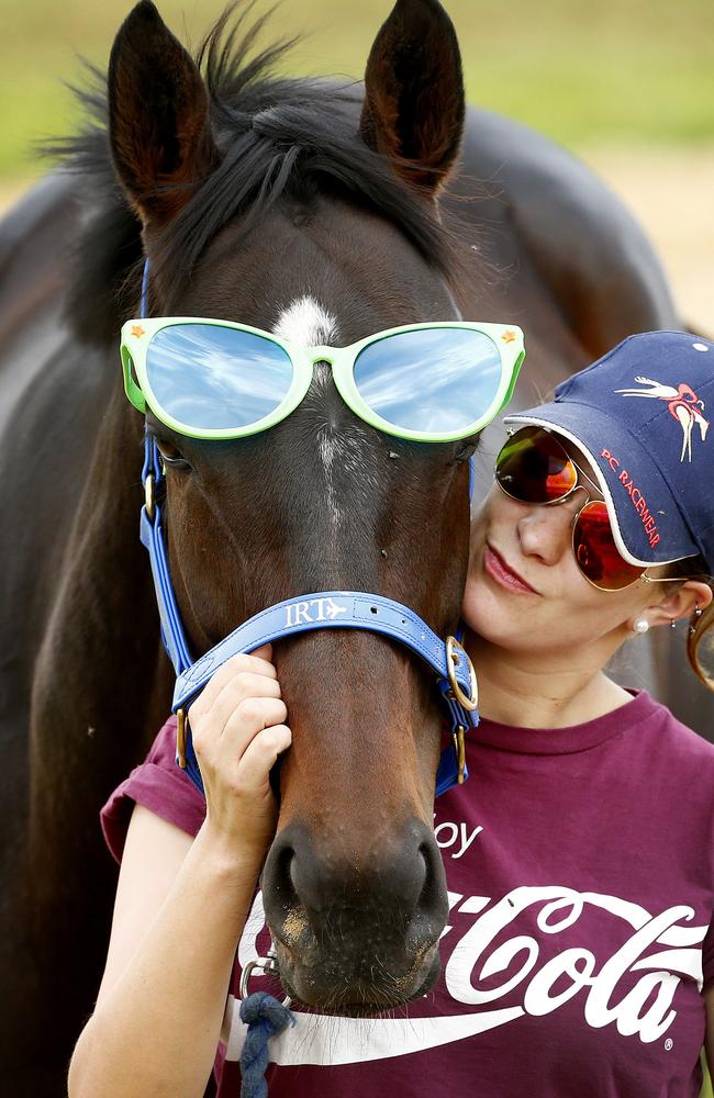 Max Dynamite with travelling groom Rachel Robins when he was here in 2015. Picture: Colleen Petch