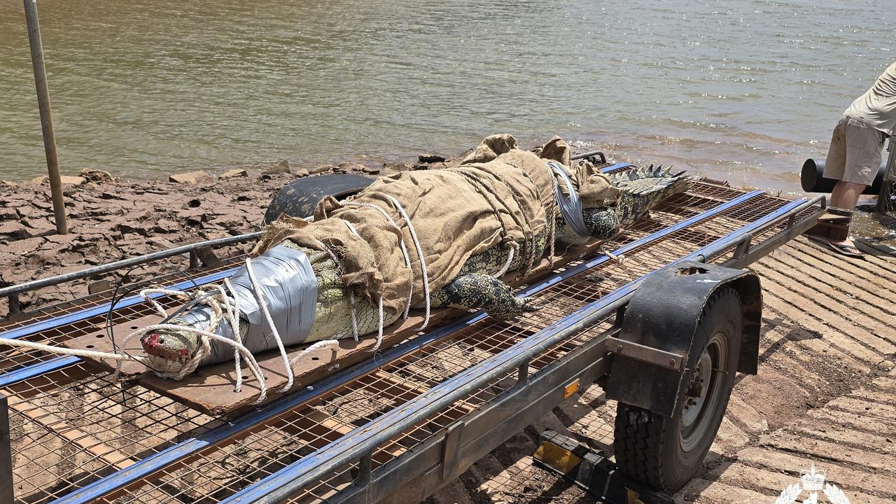 Strapped in and ready to go, rangers prepare to relocate the massive croc to a safer location away from the Timber Creek community. Picture: NT Police / Sourced.