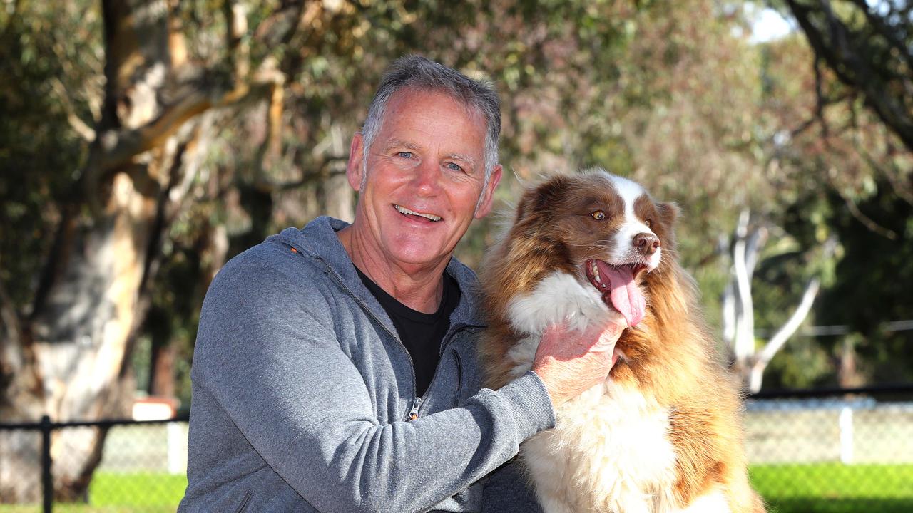 Mayor Peter Murrihy and his pooch Frankie. Picture: Alison Wynd