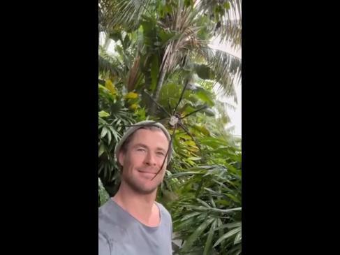Chris Hemsworth not scared of giant spider