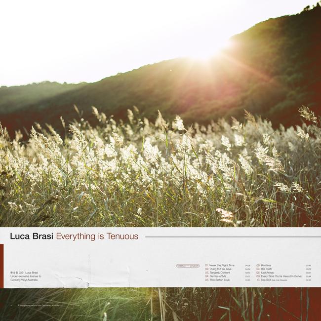 Artwork for 'Everything is Tenuous', an album by Luca Brasi released in 2021.