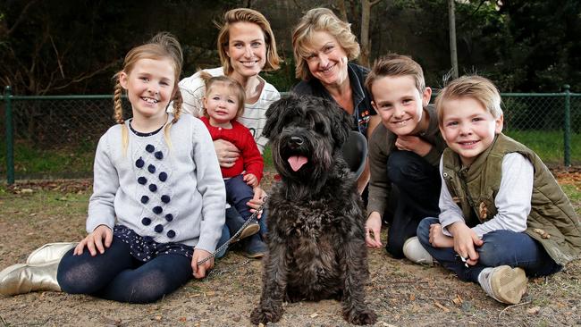 Bo the miniature schnauzer was reunited with her family Louise Anderson and children Heidi, 7, William, 9, Arabella, 15 months, and Charles, 4, after dog walker Phillippa Taylor found Bo. Picture: Troy Snook