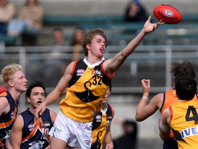 Blake Kuipers in action for the Dandenong Stingrays. Picture: Andy Brownbill