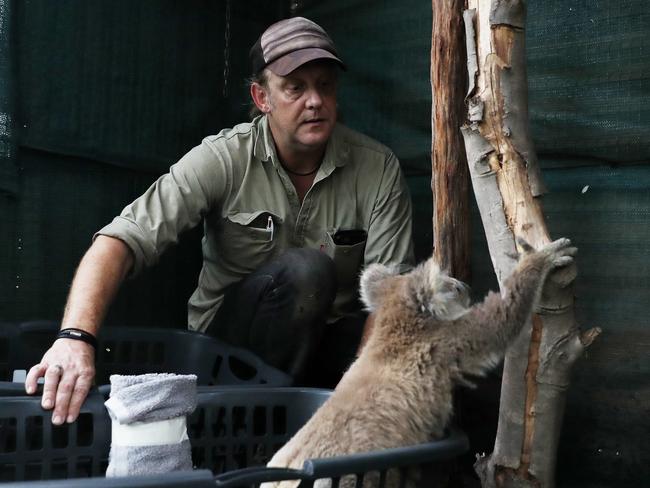 Wires volunteer Morgan Philpott with koala Kurra Kellie in Kurrajong on Wednesday 8th January 2020. Morgan is currently looking after three koalas, all of which came from bushfire affected areas. Picture: Nikki Short