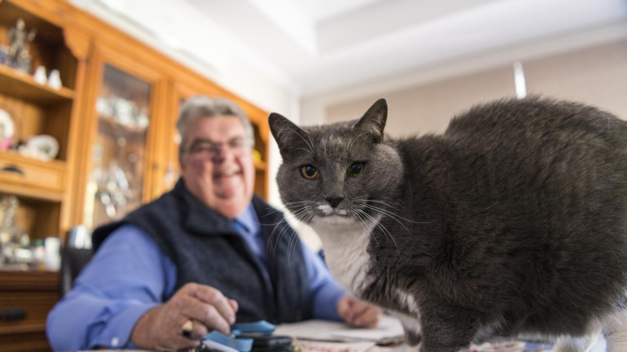 Lifeline Darling Downs CEO Derek Tuffield and Moomoo the cat. Picture: Kevin Farmer