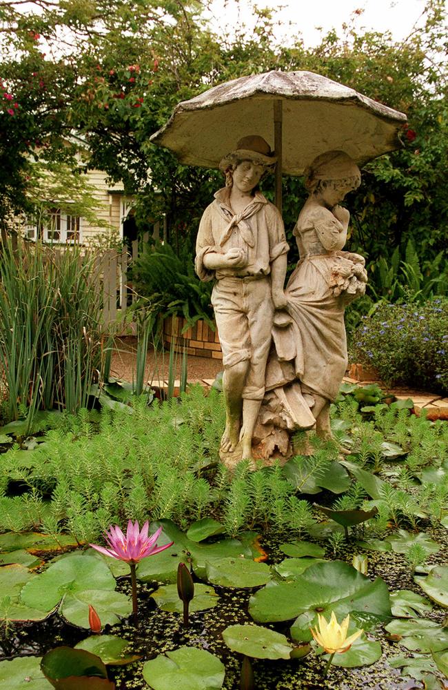 A lily pond in the lush gardens.