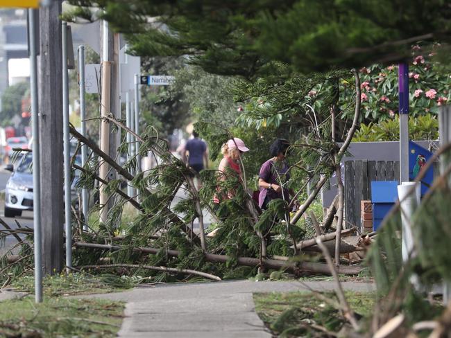 The clean-up continues after the deadly storm ripped through the northern beaches on Sunday afternoon. Picture: John Grainger